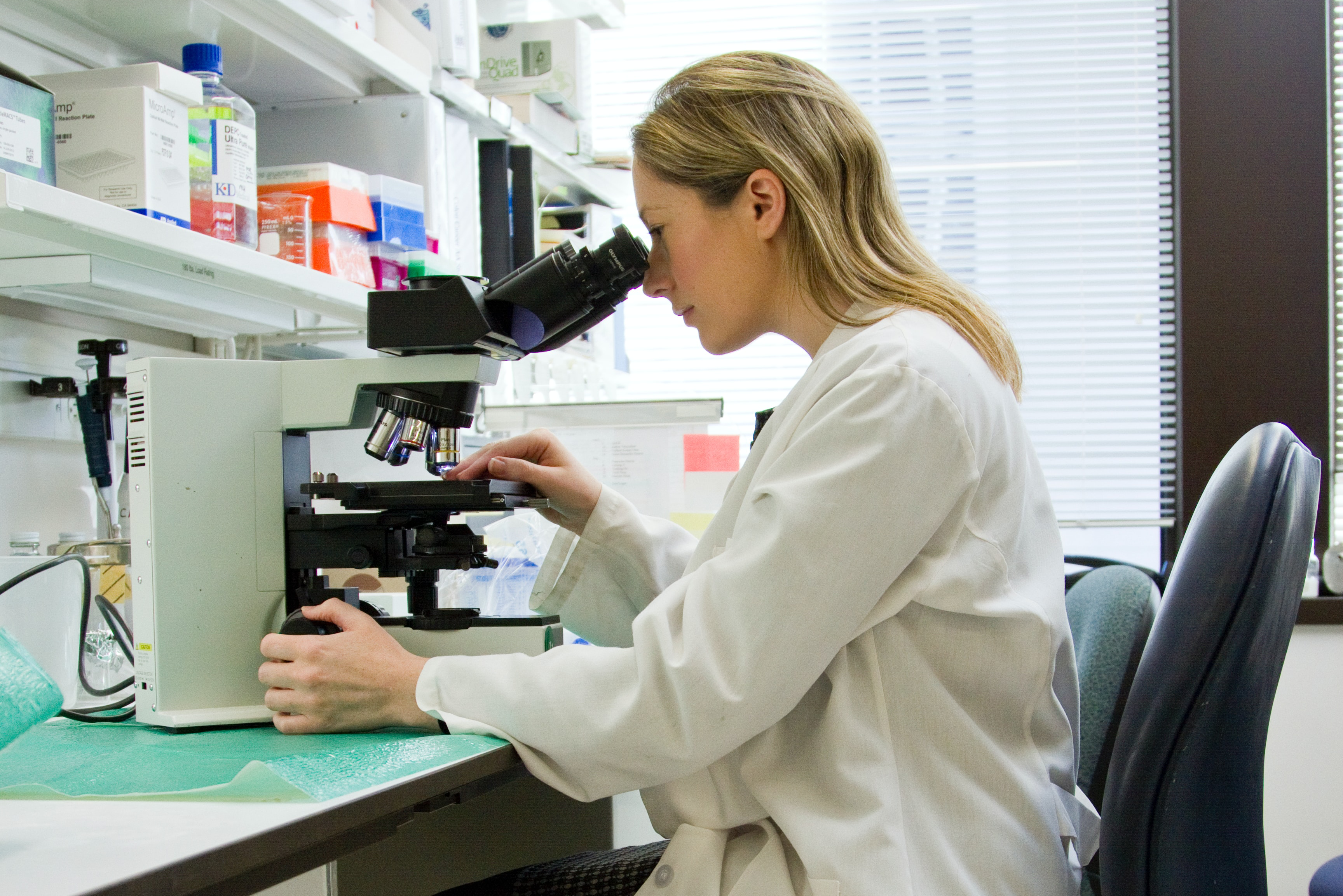 Woman working at microscope