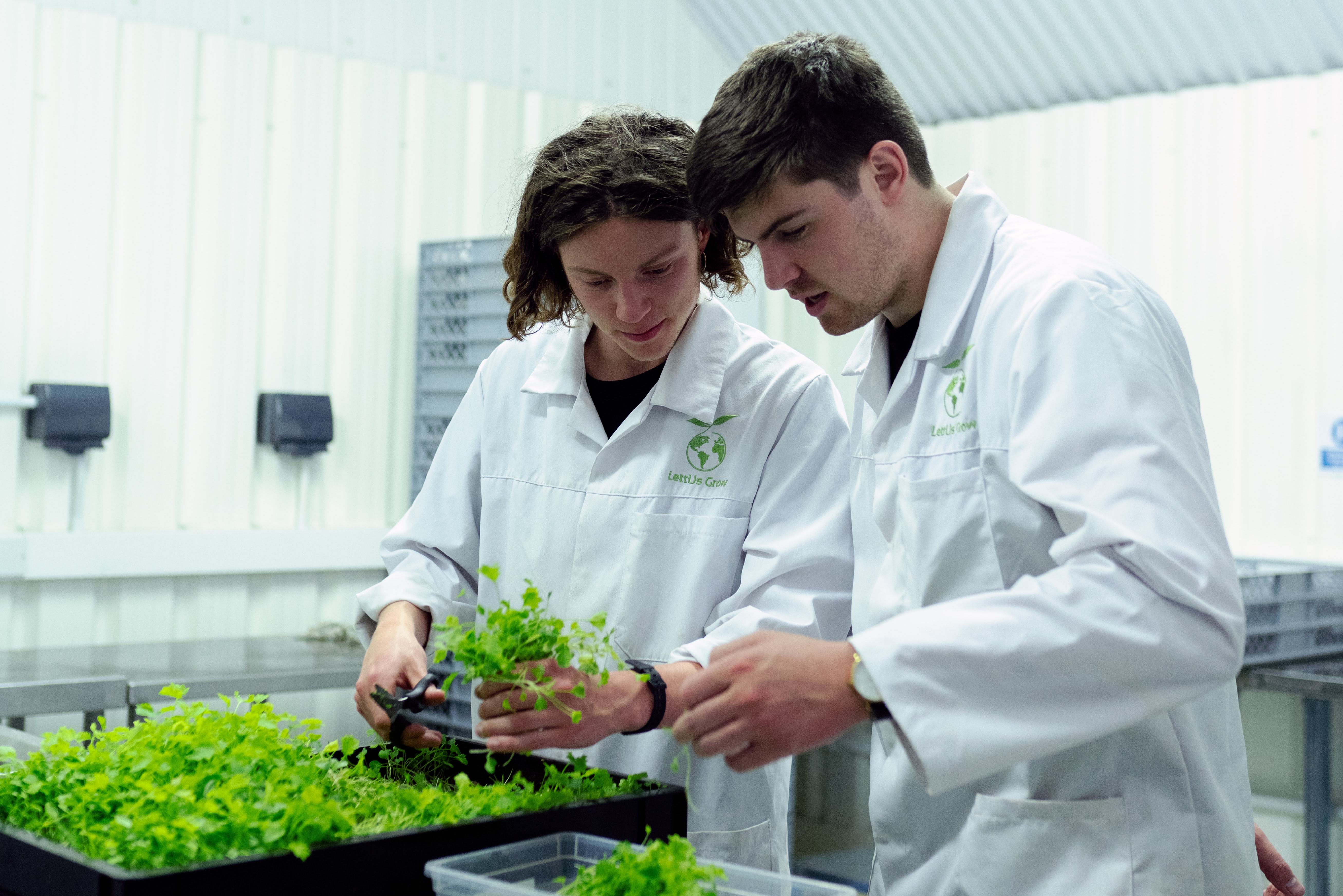 Students in lab coats looking at plant