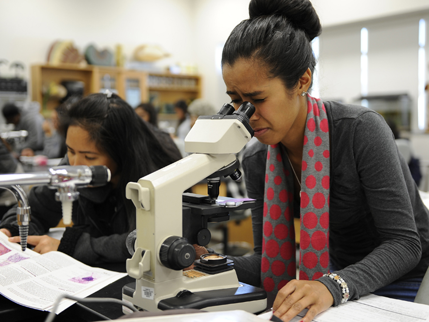 Students using biology equipment 